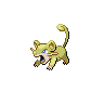 Rattata