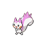 pachirisu