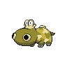 hippopotas