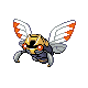 ninjask