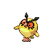 hoothoot