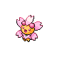 Ceriflor