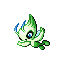 celebi