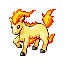 ponyta