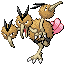 dodrio