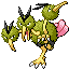 dodrio