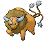 tauros