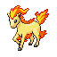 ponyta