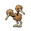 doduo