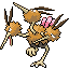 dodrio