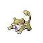 Rattata