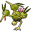 dodrio