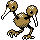 doduo