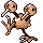 doduo