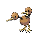 doduo