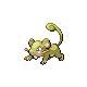 rattata