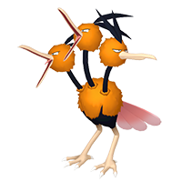 dodrio