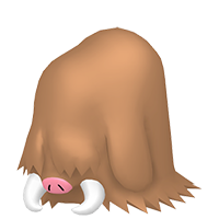 cochignon