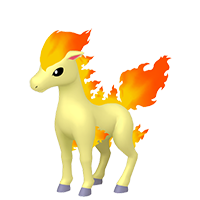 ponyta