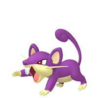 rattata