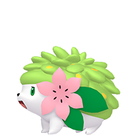 shaymin