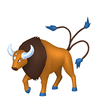 tauros