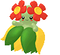 joliflor