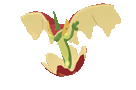 pomdrapi