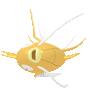 Magicarpe