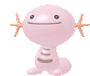 Axoloto