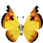 Prismillon