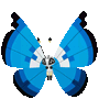 Prismillon