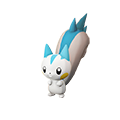 pachirisu