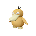 psykokwak