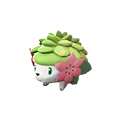 shaymin