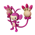 Capidextre