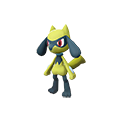 Riolu