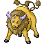 tauros