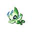 celebi