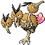 dodrio