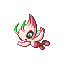 celebi