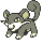 rattata