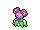 joliflor